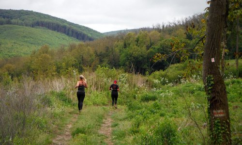 Futás a koraszülöttekért (Run for Preemies): Runners in the hills of Zala County in Hungary (Copyright © 2019 Hendrik Böttger / runinternational.eu)