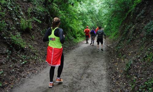 Futás a koraszülöttekért - Run for Preemies, Hungary - a downhill section in the forest (Copyright © 2017 Hendrik Böttger / runinternational.eu)