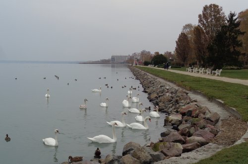 Siófok, Lake Balaton, Hungary - Aranypart (Gold Shore) in November -- Copyright © 2018 Hendrik Böttger / runinternational.eu