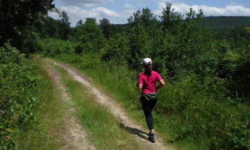 Sopron Trail, Hungary - The route offers great views of the Soproni-hegység (Sopron Mountains) - Copyright  © 2017 Hendrik Böttger / runinternational.eu