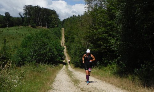 Sopron Trail - runners in the Soproni-hegység (Sopron Mountains) in Hungary - Copyright  © 2017 Hendrik Böttger / runinternational.eu