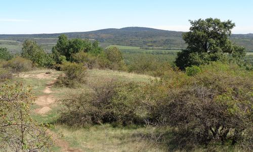 Meleg-hegy, Velencei-hegység, Hungary (Copyright © 2022 Hendrik Böttger / runinternational.eu)
