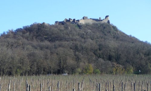 Szigliget, Hungary (Copyright © 2024 Hendrik Böttger / runinternational.eu)