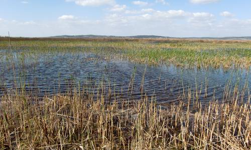 Velencei-tó (Lake Velence), Hungary - Photo Copyright © 2017 Hendrik Böttger / runinternational.eu