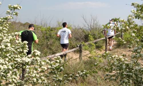 A piedi per Bibione 2012 - in the dunes of Bibione (Copyright © 2012 runinternational.eu)