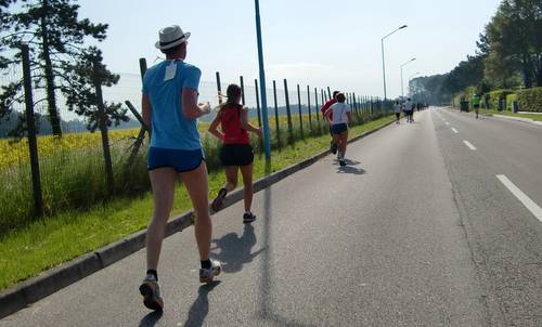 A piedi per Bibione 2012 - along a field of rape (Copyright © 2012 runinternational.eu)