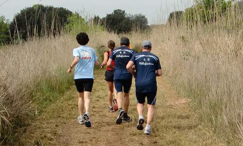 A piedi per Bibione 2012 - through reed at the Parco Naturale Val Grande (Copyright © 2012 runinternational.eu)