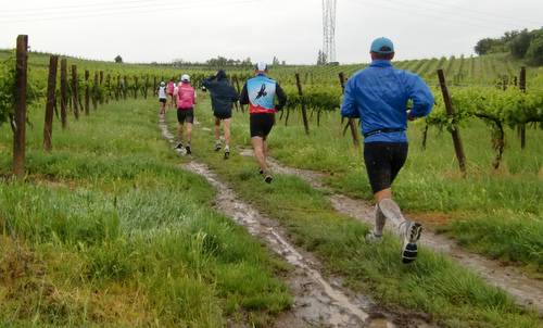 Trofeo del Custoza 2012 - running in the mud (Copyright © 2012 runinternational.eu)