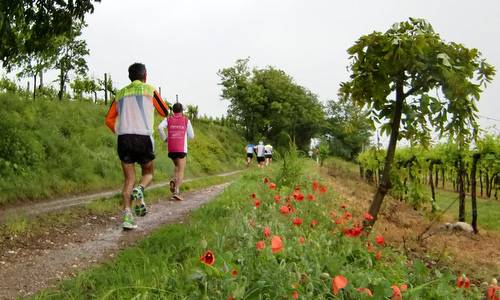 Trofeo del Custoza 2012 - a run on trails around Sommacampagna near Verona (Copyright © 2011 runinternational.eu)