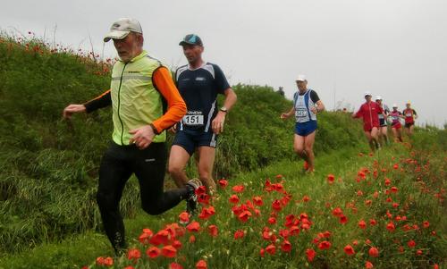 Trofeo del Custoza 2012 - poppies along the course (Copyright © 2012 runinternational.eu)