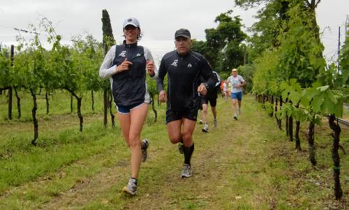 Trofeo del Custoza 2012 - through the Custoza vineyards (Copyright © 2012 runinternational.eu)