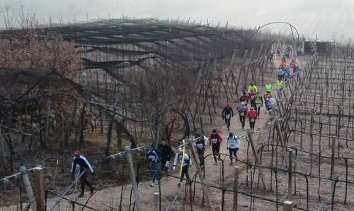 Ecomaratona Clivus 2012 (Copyright © 2012 runinternational.eu)