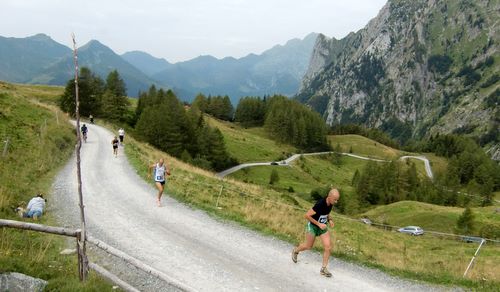 Il Volo Dell'Aquila - Memorial Erwin Maier, Paluzza, Italy — mountain runners at the Malga Pramosio pasture (Copyright © 2011 Hendrik Böttger / runinternational.eu)