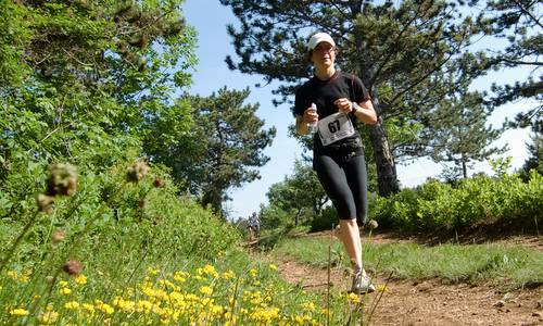 Trail Jamarun - plenty of flowers along the course (Copyright © 2012 runinternational.eu)