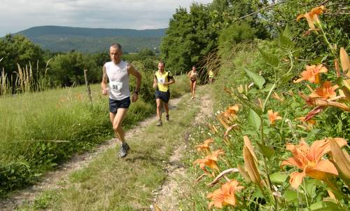 Trail Jamarun, on the Karst Plateau near Trieste, Italy (Copyright © 2012 runinternational.eu)