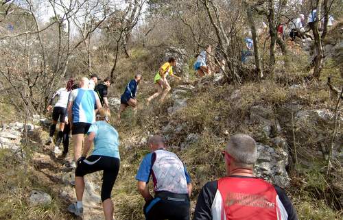 Kokos Trail 2012, Trieste, Italy (Copyright © 2012 runinternational.eu)