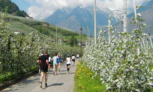 Half Marathon Meran-Algund (Copyright © 2012 Hendrik Böttger / runinternational.eu)