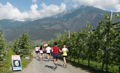 Half Marathon Merano - Lagundo (Copyright © 2010 Hendrik Böttger / runinternational.eu)