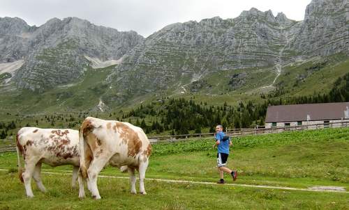 Giro delle Malghe del Montasio 2011, Davide Simonetti (Copyright © 2011 runinternational.eu)