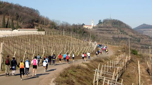 Montefortiana, at Fitta' (Copyright © 2011 runinternational.eu)