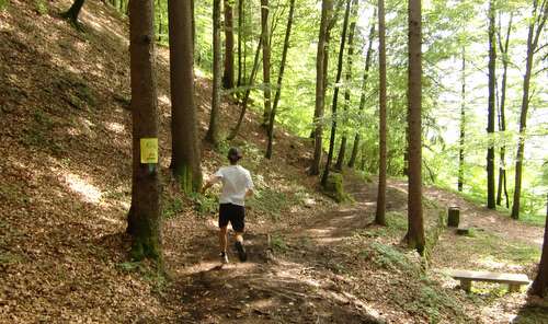 WMMRC 2011, Paluzza, Italy, the route in the forest (Copyright © 2011 runinternational.eu)