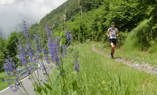 Skyrace Carnia 2011, on the Passo di Monte Croce Carnico road (Copyright © 2011 runinternational.eu)