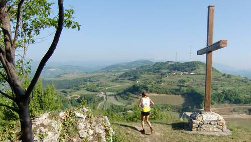 Trail Soave-Bolca 2011 (Copyright © 2011 runinternational.eu)