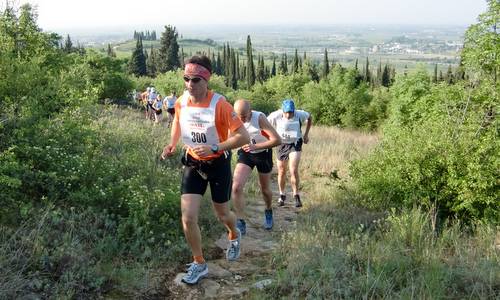 Trail Soave-Bolca 2011 (Copyright © 2011 runinternational.eu)