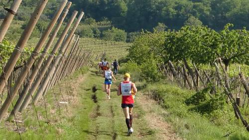 Trail Soave-Bolca, Italy (Copyright © 2011 runinternational.eu)