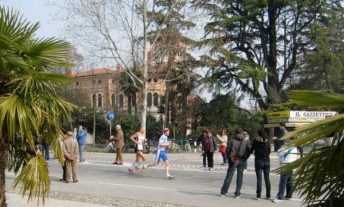 Treviso Marathon, Italy - runners on Viale Vittorio Veneto (Copyright © 2010 Hendrik Böttger / runinternational.eu)