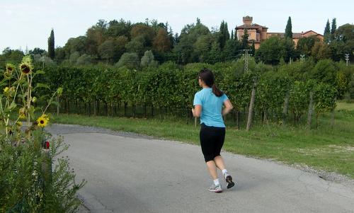 Bismarcia, Capriva del Friuli, Italy (Copyright © 2015 Hendrik Böttger / runinternational.eu)