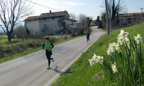 Cormorana 2013 - spring in the Friuli area (Copyright © 2013 Hendrik Böttger / runinternational.eu)