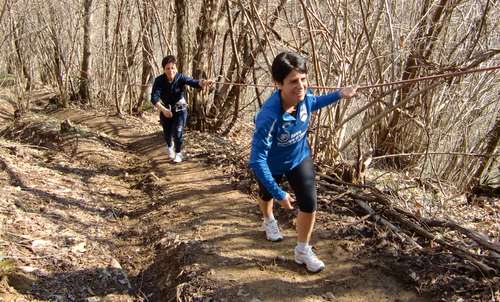 Cormorana 2013 - steep climb in the woods (Copyright © 2013 Hendrik Böttger / runinternational.eu)