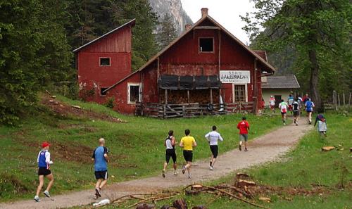 Cortina Dobbiaco Run (Copyright © 2012 Hendrik Böttger, runinternational.eu)