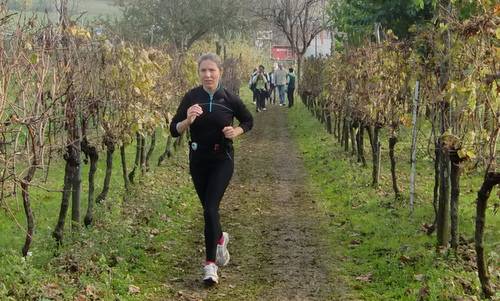 Marcia per le colline di Fagagna (Copyright © 2012 Hendrik Böttger, runinternational.eu)