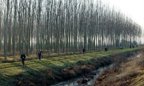 Marcia dei Magi, Campolonghetto, Italy - a non-competitive running and hiking event (Copyright © 2015 Hendrik Böttger / runinternational.eu)