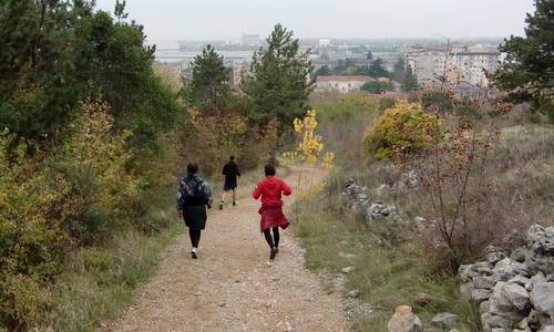 Su e zo pa la Roca, a non-competitive run and walk in the town of Monfalcone in Italy (Copyright © 2014 Hendrik Böttger / runinternational.eu)