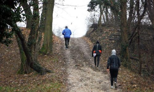 Camminando in Compagnia - a running/walking event in Adorgnano di Tricesimo, Province of Udine, Italy (Copyright © 2016 Hendrik Böttger / runinternational.eu)