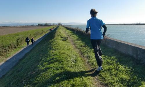 Marcia degli Alberoni - a runner on the dyke of the Isonzo River, Italy (Copyright © 2016 Hendrik Böttger / runinternational.eu)