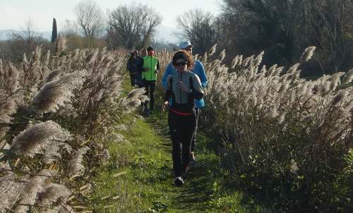 Marcia degli Alberoni - on trails at the Isonzo river mouth (Copyright © 2013 Hendrik Böttger / runinternational.eu)