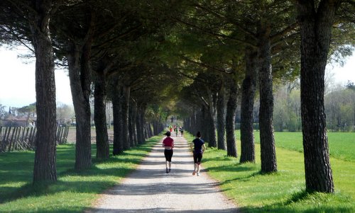 Marcia internazionale per la vita, Aquileia, Italy - runners on a beautiful avenue (Copyright © 2018 Hendrik Böttger / runinternational.eu)