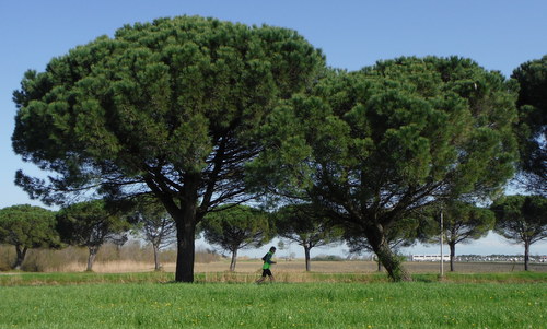 Marcia internazionale per la vita, Aquileia, Italy (Copyright © 2019 Hendrik Böttger / runinternational.eu)