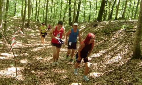 Marcia 'La Panoramica', Barcis, Italy - through lovely woods (Copyright © 2013 Hendrik Böttger / Run International EU)