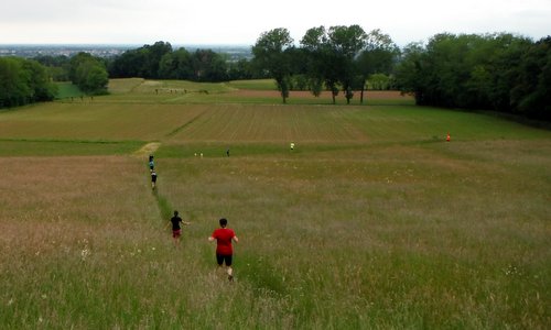 Marcia dei Cajs - runners in the countryside near Battaglia di Fagagna, Friuli, Italy (Copyright © 2017 Hendrik Böttger / runinternational.eu)