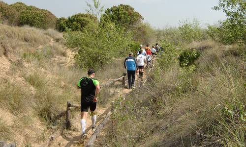 Meeting A piedi per Bibione - runners in the dunes of Bibione, Italy (Copyright © 2018 Hendrik Böttger / runinternational.eu)