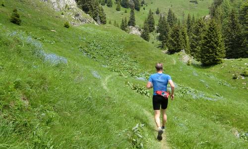 Skyrace Carnia 2013 — from Pal Piccolo back to Timau (Copyright © 2013 Hendrik Böttger / runinternational.eu)