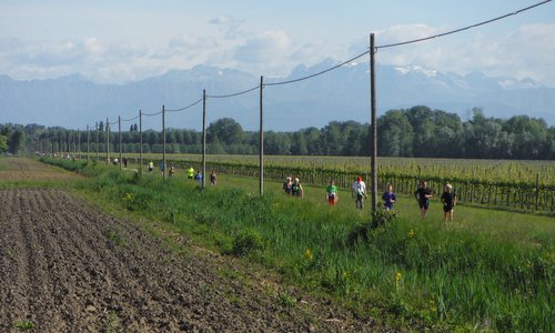 Cjasteons al Cjamine - a FIASP marcia in Castions di Strada, Friuli, Italy (Copyright © 2018 Hendrik Böttger / runinternational.eu)