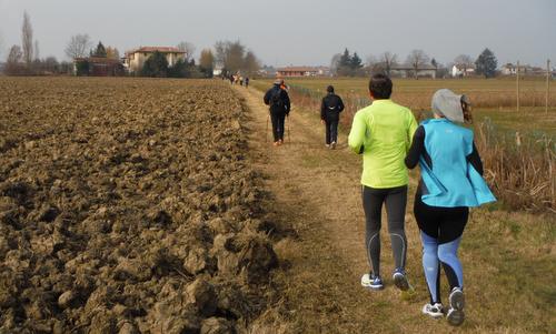 Dicembrina Cervignanese, Cervignano del Friuli, Italy - a non-competitive running and walking event in the Province of Udine (Copyright © 2015 Hendrik Böttger / runinternational.eu)