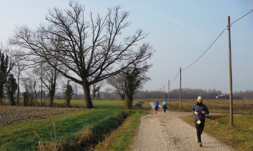 Dicembrina Cervignanese, Cervignano del Friuli, Italy - runners on a gravel road in the comune di Ruda (Copyright © 2015 Hendrik Böttger / runinternational.eu)