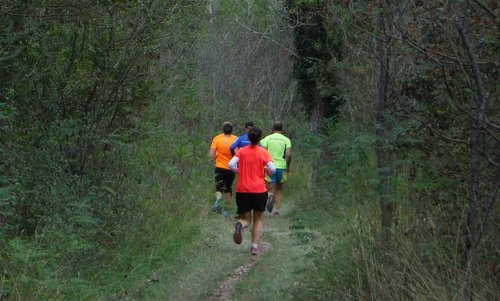 Corse in Grave, San Odorico al Tagliamento, Italy - runners in the woods near the Tagliamento river (Photo: Copyright © 2018 Hendrik Böttger / runinternational.eu)